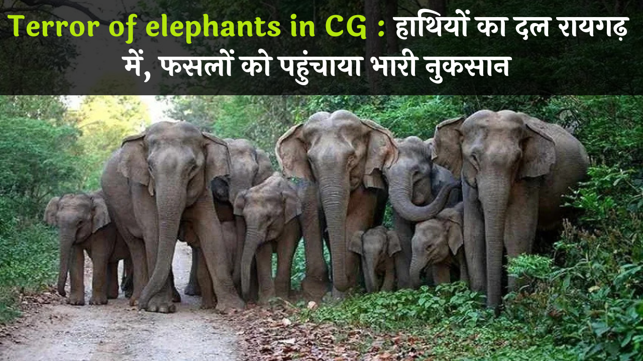 Terror of elephants in CG