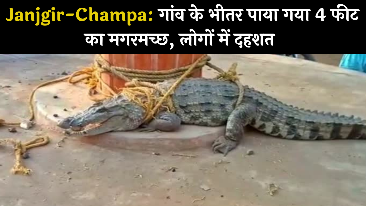 Janjgir-Champa: