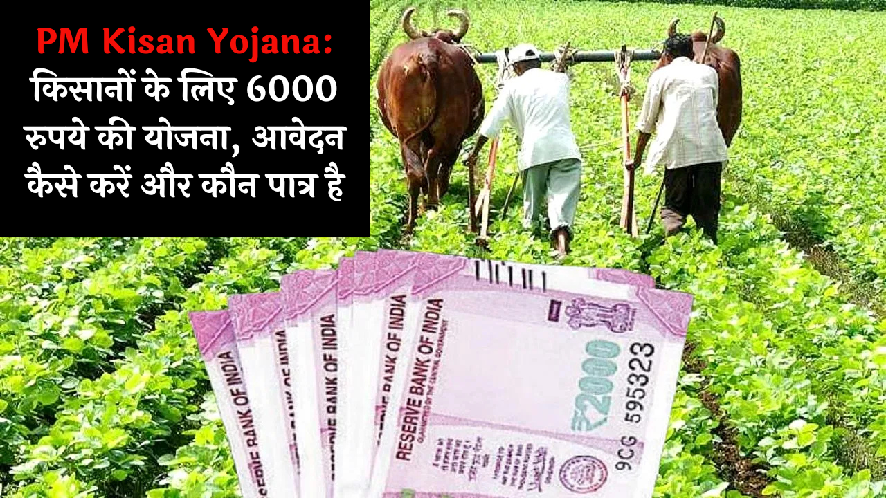 PM Kisan Yojana: 