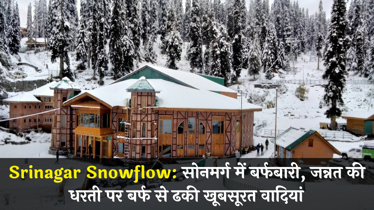 Srinagar Snowflow