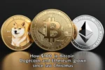 $100 in Bitcoin, Dogecoin, and Ethereum