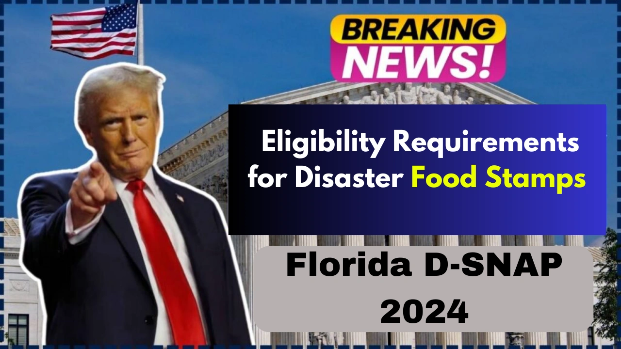 Florida D-SNAP 2024