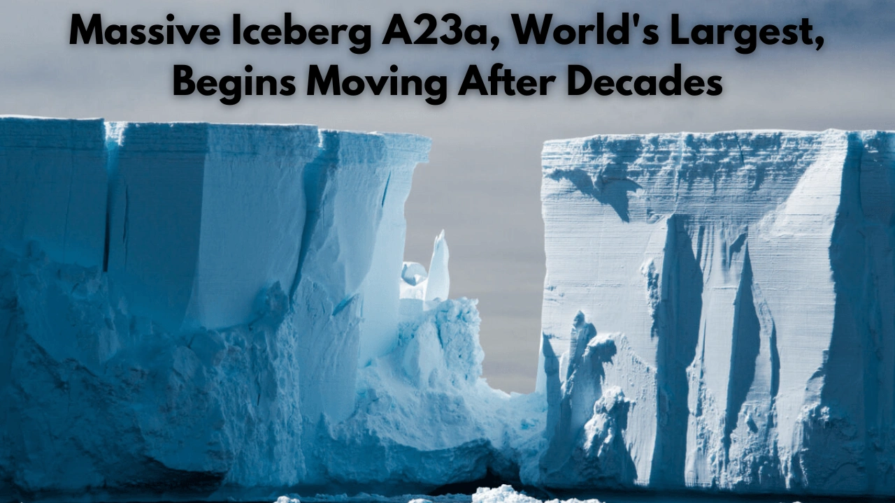 Massive Iceberg A23a, World's Largest