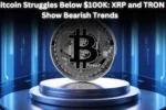 Bitcoin Struggles Below $100K