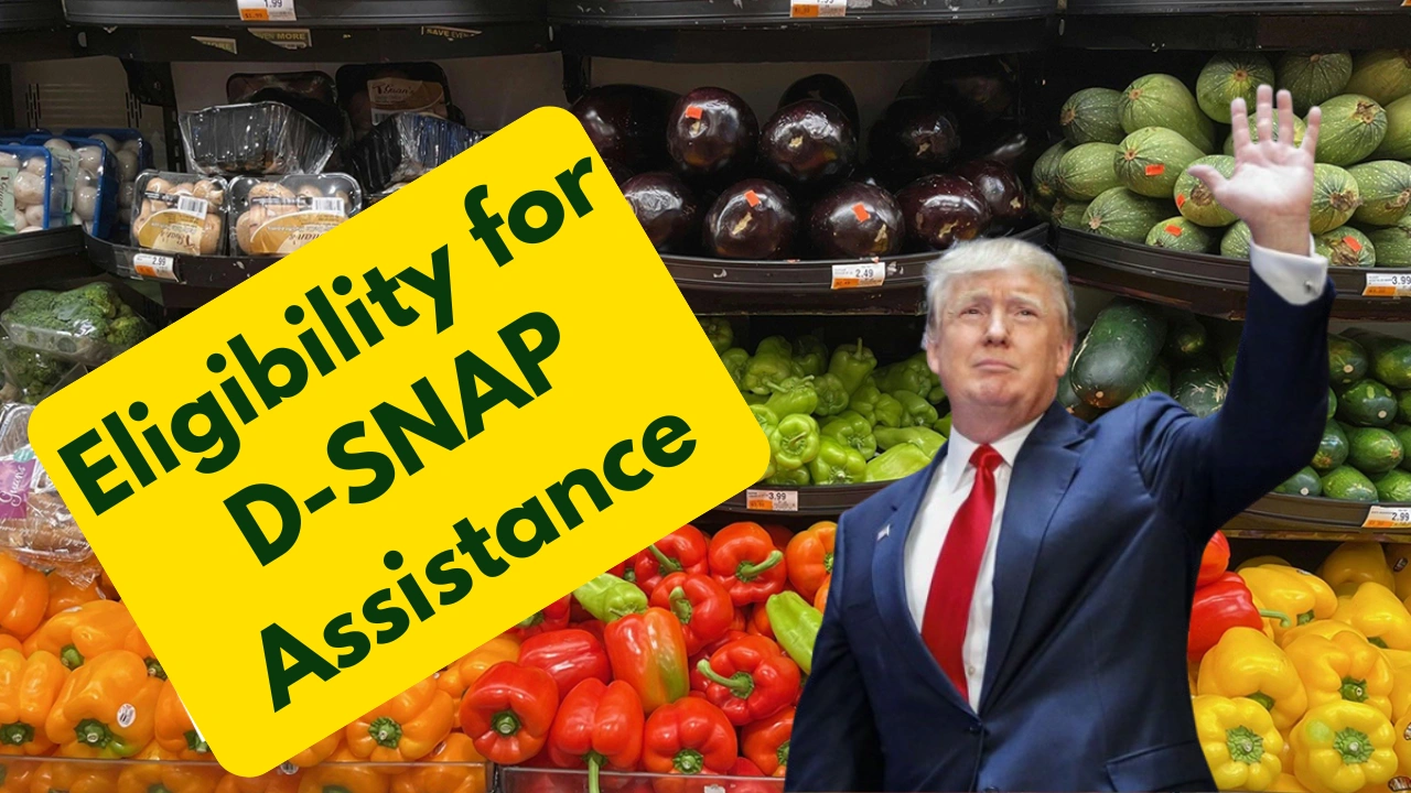 Eligibility for D-SNAP Assistance