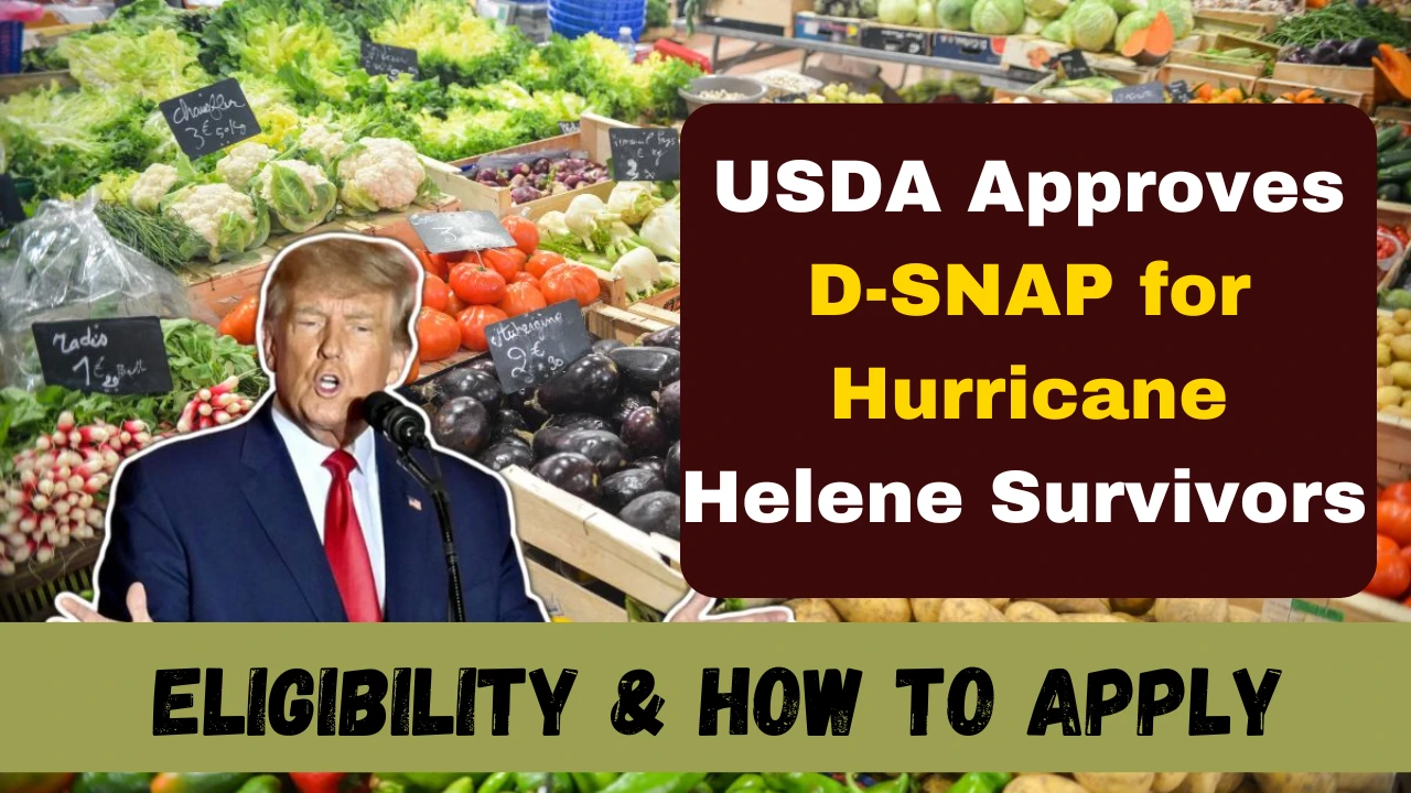 D-SNAP for Hurricane Helene Survivors